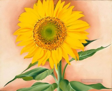 モダンな装飾の花 Painting - マギー・ジョージア・オキーフの花飾りのひまわり